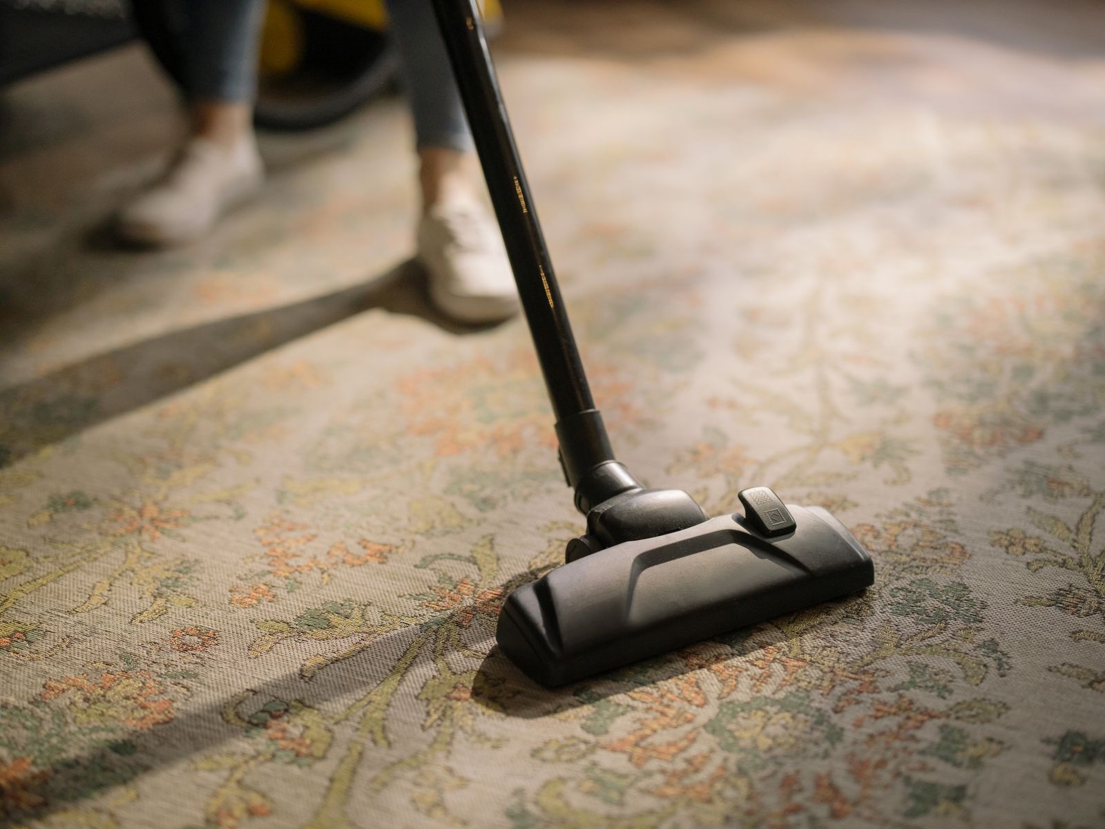 Patterned carpet being cleaned in a sunlit room